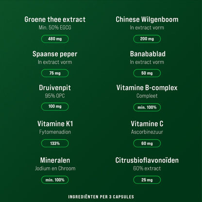 Natuurlijke Fatburner