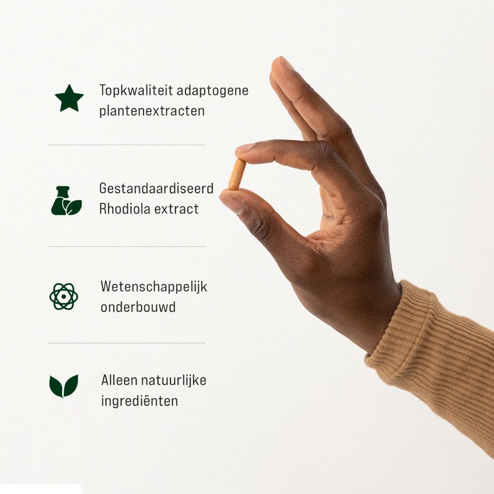 Rhodiola & Ginseng